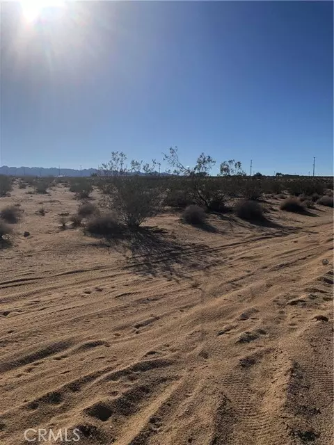 Twentynine Palms, CA 92277,71440 Palmyra