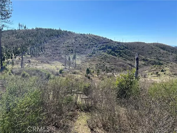 Oroville, CA 95965,1234 Hog Ranch Rd