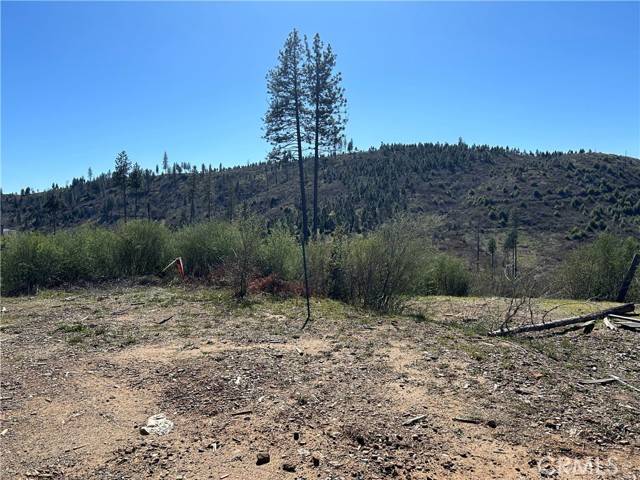 Oroville, CA 95965,1234 Hog Ranch Rd