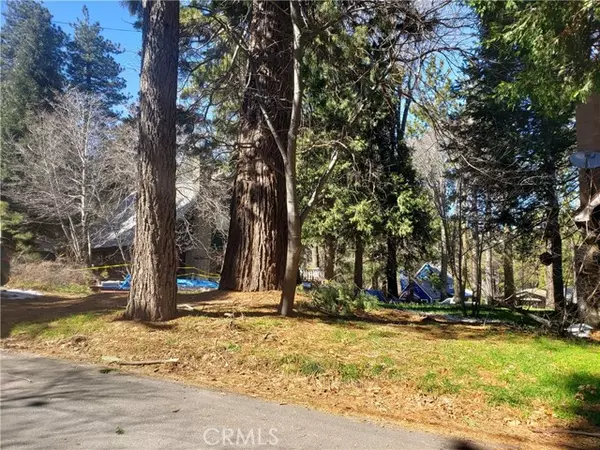 Crestline, CA 92325,22886 Azalia LN