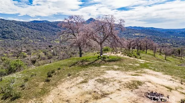 Mariposa, CA 95338,3831 Broncho Hollow LN