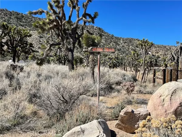 Pioneertown, CA 92268,0 Orion Trl