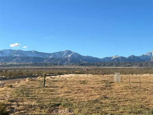 Llano, CA 93544,0 Vac/Cor Avenue W4 Drt /175