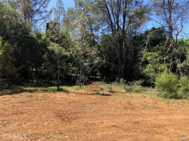 Kelseyville, CA 95451,3643 Glebe RD