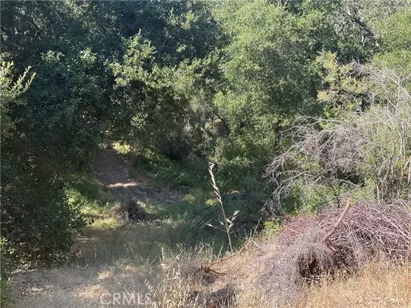 Bradley, CA 93426,76342 Bryson Hesperia RD