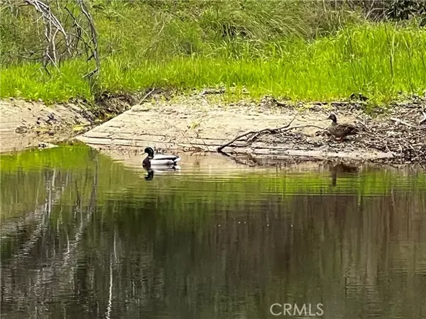 Bradley, CA 93426,76342 Bryson Hesperia RD