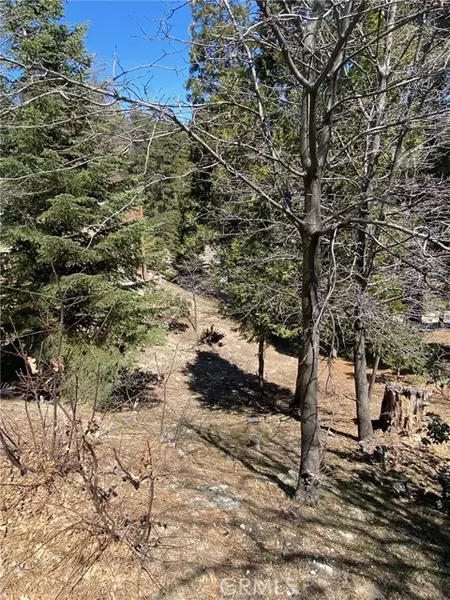 0 CIR, Lake Arrowhead, CA 92323