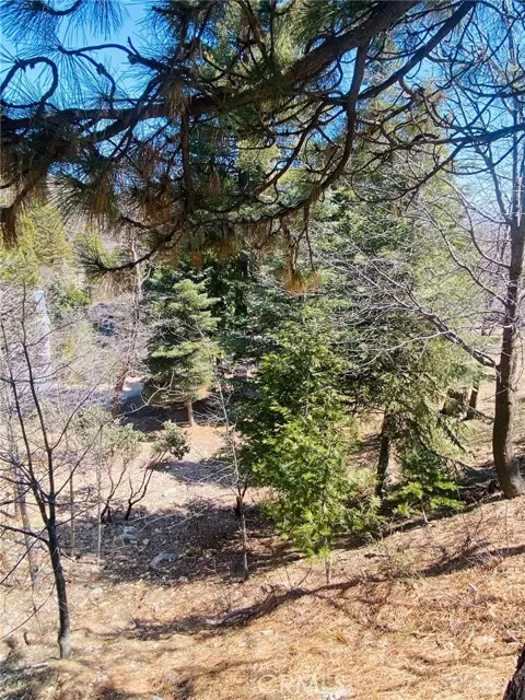 Lake Arrowhead, CA 92323,0 CIR