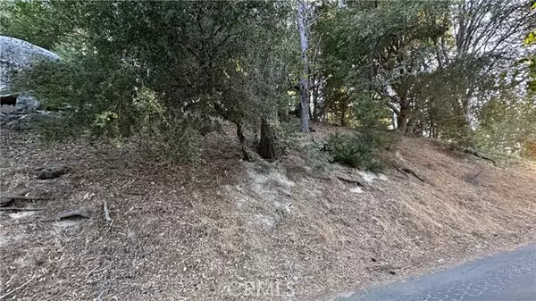 Twin Peaks, CA 92391,0 Mid LN