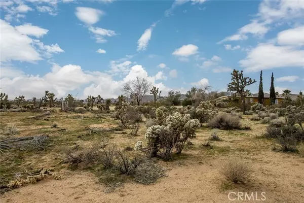 Joshua Tree, CA 92252,61329 Rocky Vista ST