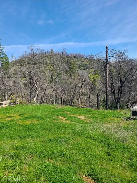 Berry Creek, CA 95916,519 Little Ridge RD