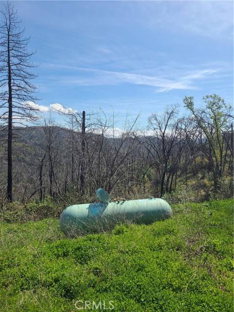Berry Creek, CA 95916,519 Little Ridge RD