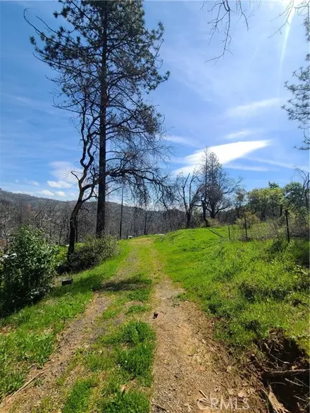 519 Little Ridge RD, Berry Creek, CA 95916