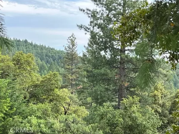 Grass Valley, CA 95945,12444 Manion Canyon RD