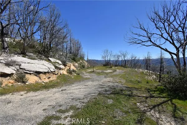 Berry Creek, CA 95916,151 Tipsoo Peak RD