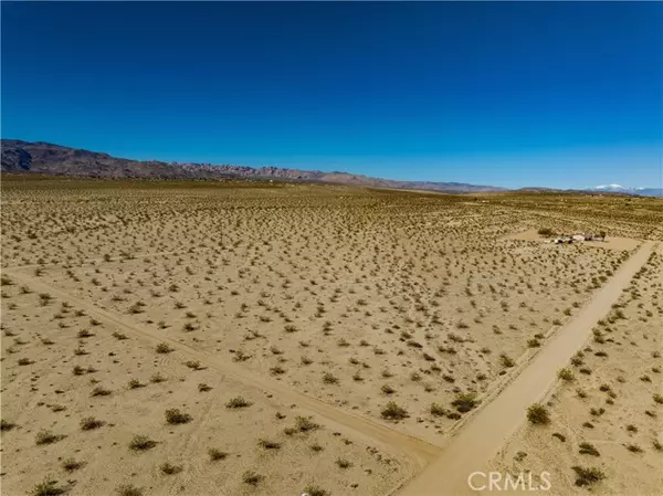 Twentynine Palms, CA 92277,0 Fremontia