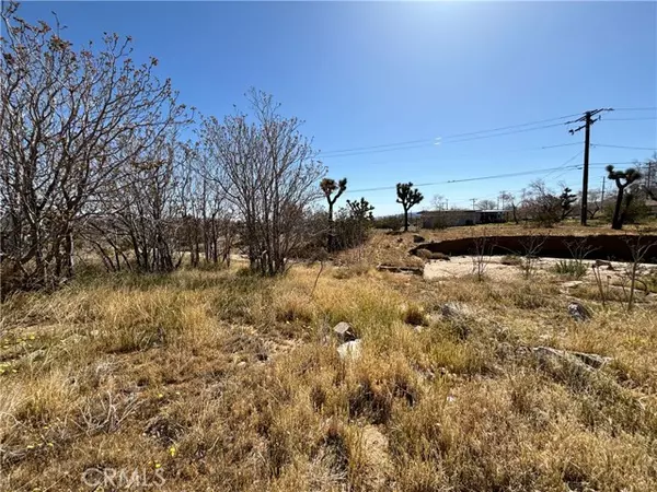 Yucca Valley, CA 92284,6453 Linda Lee DR