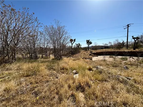 Yucca Valley, CA 92284,6453 Linda Lee DR