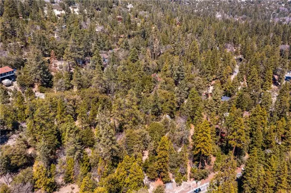 Idyllwild, CA 92549,24610 Highway 243