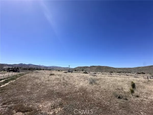 Pioneertown, CA 92268,0 Roy Rogers RD