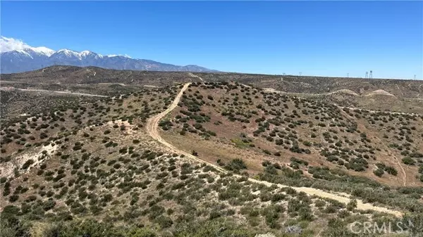 Hesperia, CA 92345,0 Catfish