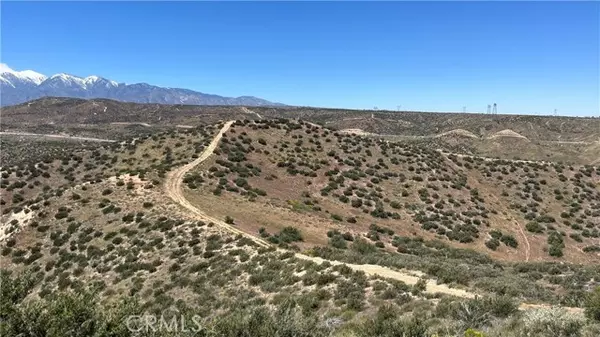 Hesperia, CA 92345,0 Catfish