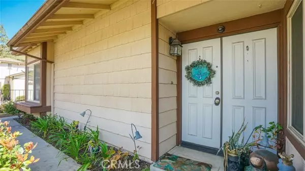 Sylmar, CA 91342,13970 Olive Grove LN