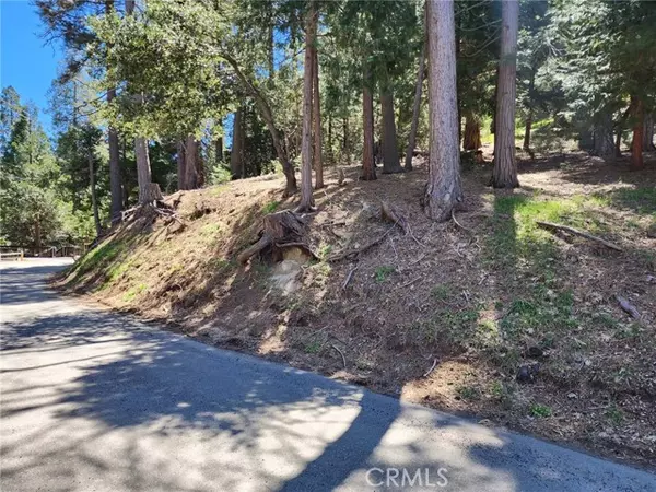 Crestline, CA 92325,0 Altdorf DR