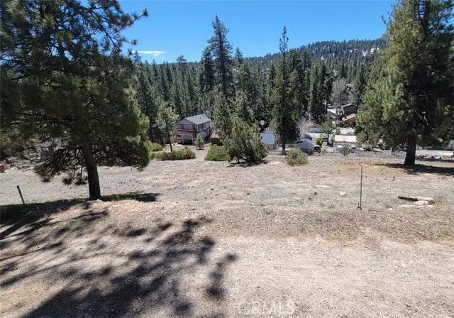 Big Bear Lake, CA 92315,39243 Crest LN