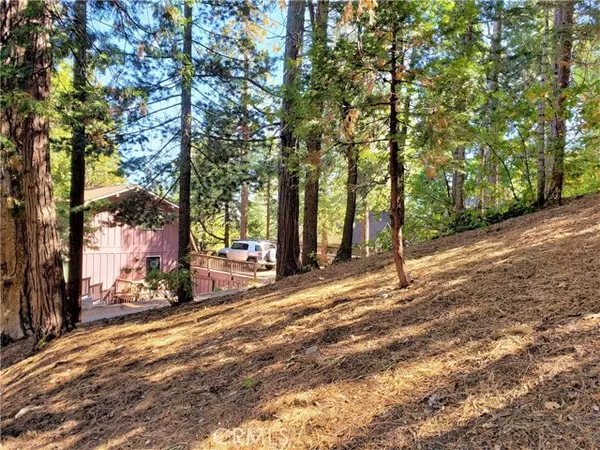 Lake Arrowhead, CA 92352,330 Castle Gate RD