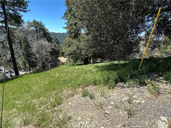 Cedarpines Park, CA 92322,0 Elliot RD