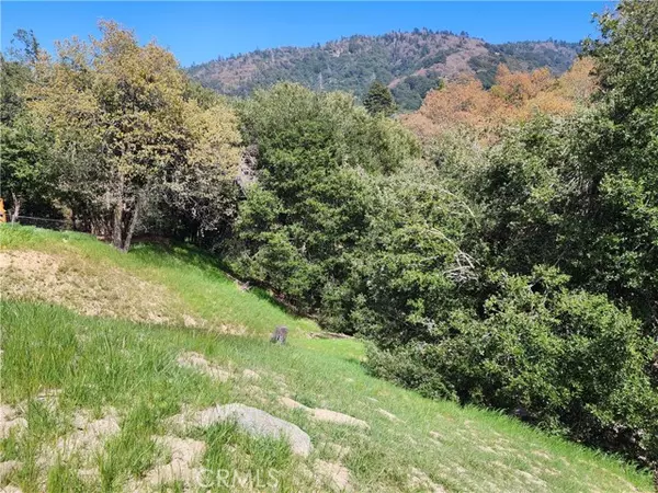 Crestline, CA 92325,0 Davos DR