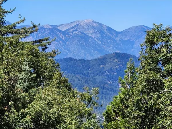 Twin Peaks, CA 92391,0 North RD