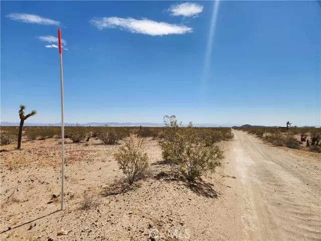 Joshua Tree, CA 92252,32 AC Sonora RD