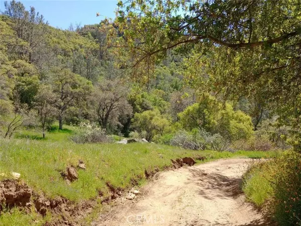 0 455054 Quail SPGS,  Tollhouse,  CA 93667