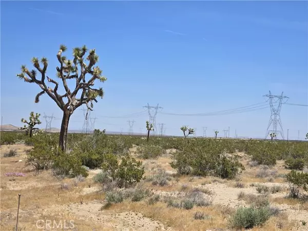 Adelanto, CA 92301,10 Acres Beaver AVE