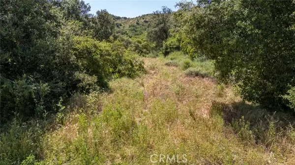 Trabuco Canyon, CA 92678,0 Danielle LN