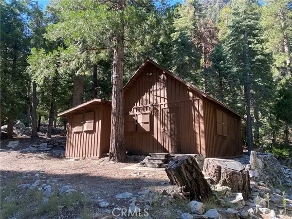 9520 Falls RD, Forest Falls, CA 92339