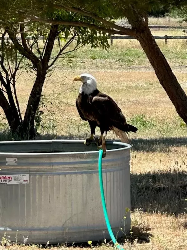 Bradley, CA 93426,2 Interlake RD