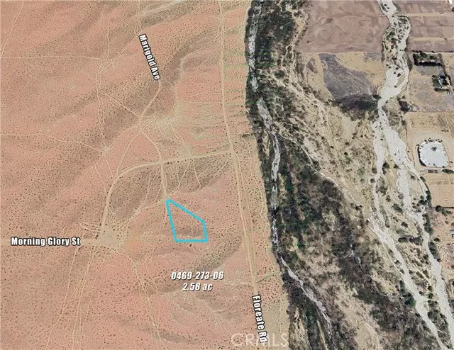 Oro Grande, CA 92368,0 Marigold AVE