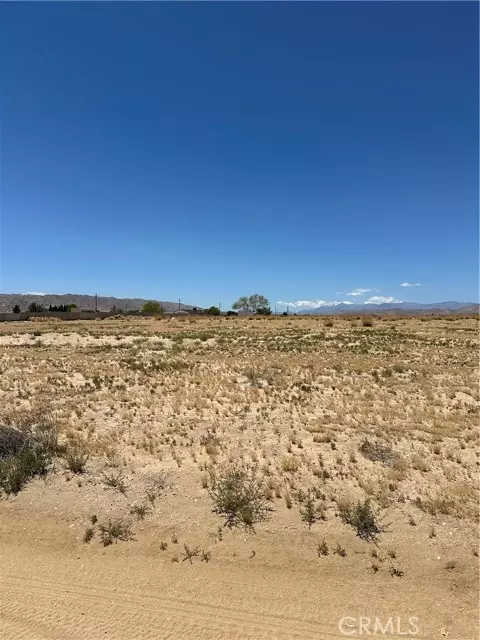 Joshua Tree, CA 92252,5250 Cascade RD