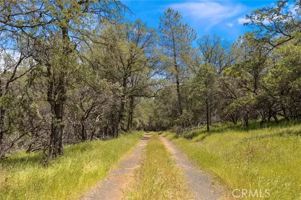 4 Oregon Gulch, Cherokee, CA 95965