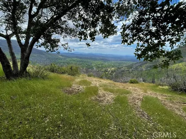 Mariposa, CA 95338,4585 Buckingham Mountain RD