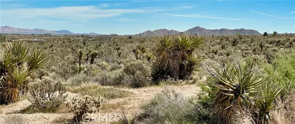 Lucerne Valley, CA 92356,0 Mountain VW