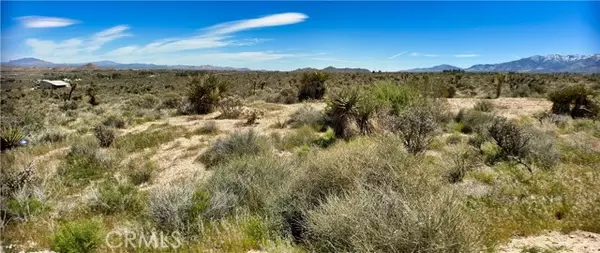 Lucerne Valley, CA 92356,0 Mountain VW