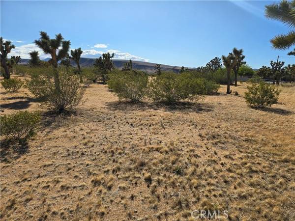 0 Long VW, Yucca Valley, CA 92284