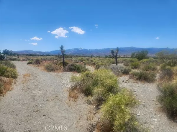 0 Minero RD, Pinon Hills, CA 92372