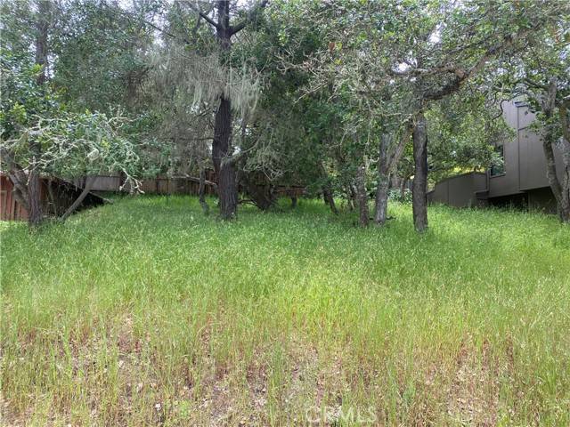 Cambria, CA 93428,0 Ardath DR