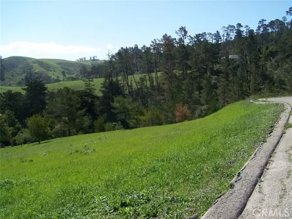 Cambria, CA 93428,0 Linden CT