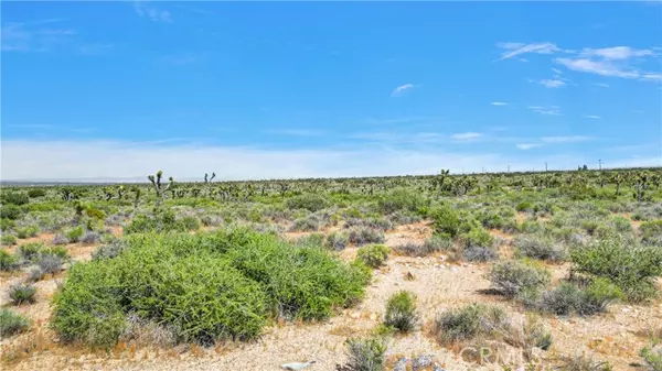 Llano, CA 93544,0 Fort Tejon